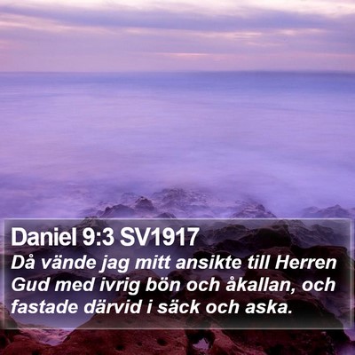 Daniel 9:3 SV1917 Bible Verse Image