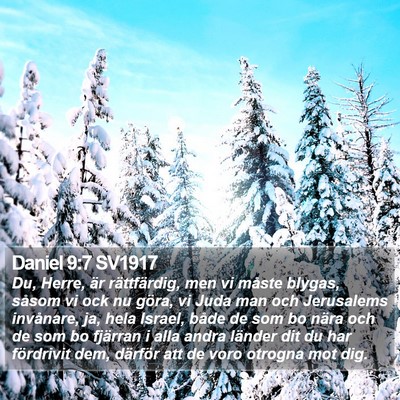 Daniel 9:7 SV1917 Bible Verse Image