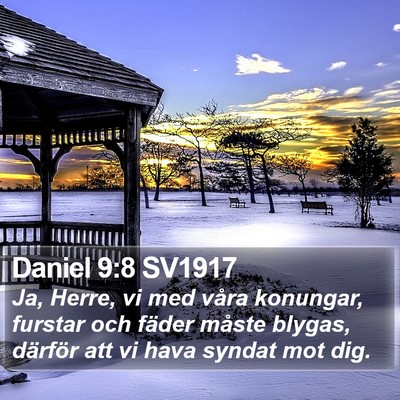 Daniel 9:8 SV1917 Bible Verse Image