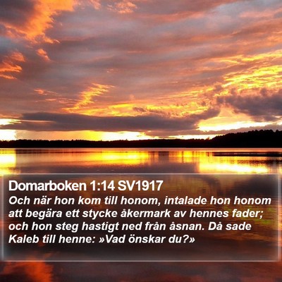 Domarboken 1:14 SV1917 Bible Verse Image