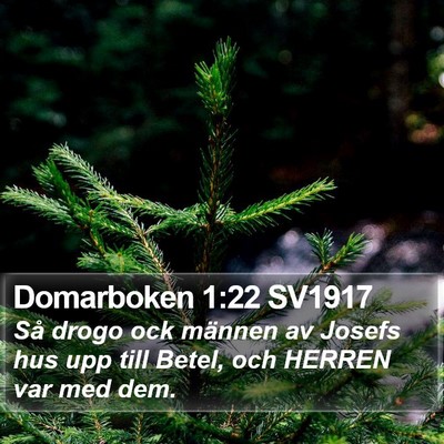 Domarboken 1:22 SV1917 Bible Verse Image
