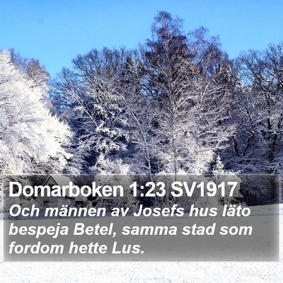 Domarboken 1:23 SV1917 Bible Verse Image