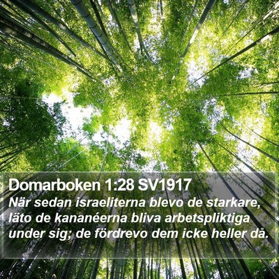 Domarboken 1:28 SV1917 Bible Verse Image