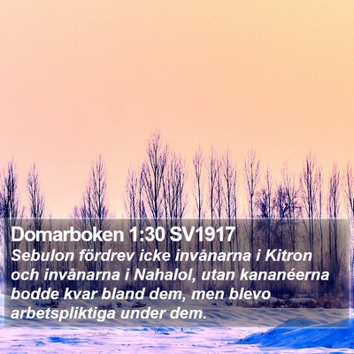 Domarboken 1:30 SV1917 Bible Verse Image
