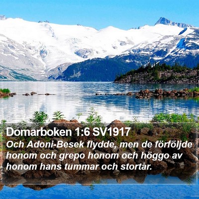 Domarboken 1:6 SV1917 Bible Verse Image
