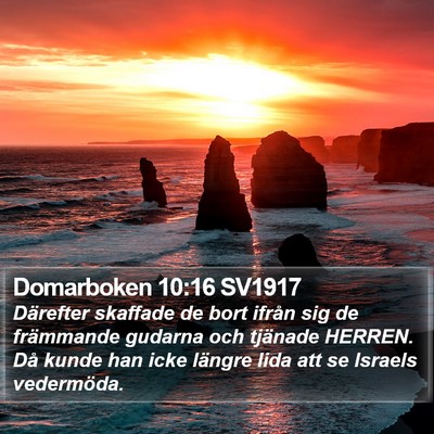 Domarboken 10:16 SV1917 Bible Verse Image