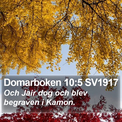 Domarboken 10:5 SV1917 Bible Verse Image