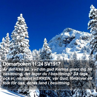 Domarboken 11:24 SV1917 Bible Verse Image