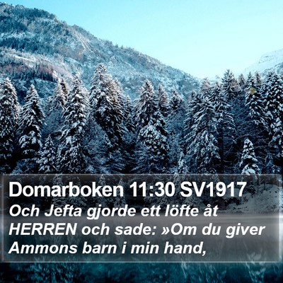 Domarboken 11:30 SV1917 Bible Verse Image
