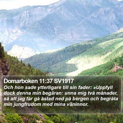 Domarboken 11:37 SV1917 Bible Verse Image