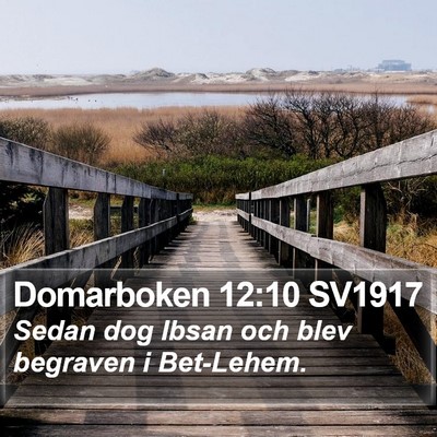 Domarboken 12:10 SV1917 Bible Verse Image