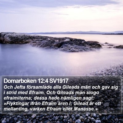 Domarboken 12:4 SV1917 Bible Verse Image