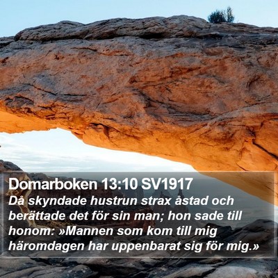 Domarboken 13:10 SV1917 Bible Verse Image
