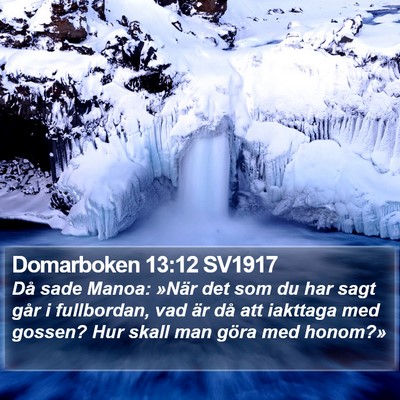 Domarboken 13:12 SV1917 Bible Verse Image