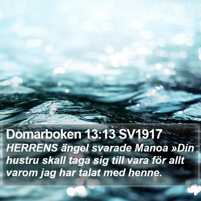 Domarboken 13:13 SV1917 Bible Verse Image