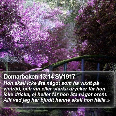Domarboken 13:14 SV1917 Bible Verse Image