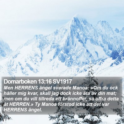 Domarboken 13:16 SV1917 Bible Verse Image