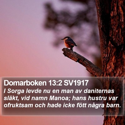 Domarboken 13:2 SV1917 Bible Verse Image