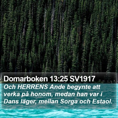 Domarboken 13:25 SV1917 Bible Verse Image