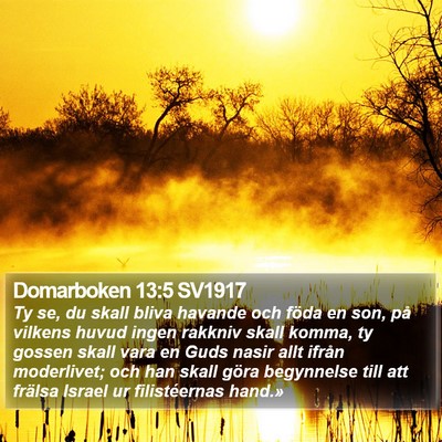 Domarboken 13:5 SV1917 Bible Verse Image