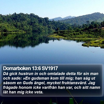 Domarboken 13:6 SV1917 Bible Verse Image
