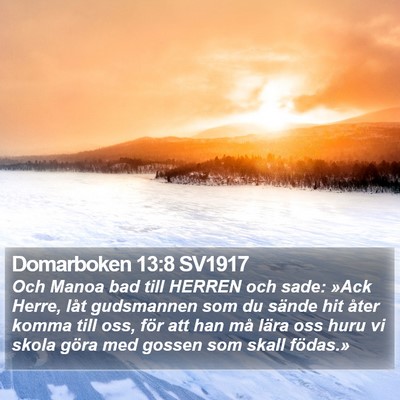 Domarboken 13:8 SV1917 Bible Verse Image