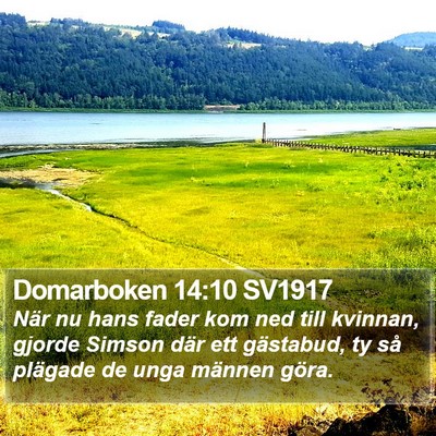 Domarboken 14:10 SV1917 Bible Verse Image