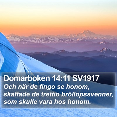 Domarboken 14:11 SV1917 Bible Verse Image
