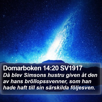 Domarboken 14:20 SV1917 Bible Verse Image