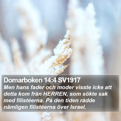 Domarboken 14:4 SV1917 Bible Verse Image