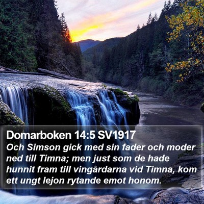 Domarboken 14:5 SV1917 Bible Verse Image