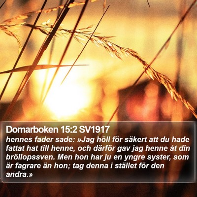 Domarboken 15:2 SV1917 Bible Verse Image