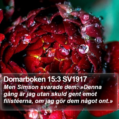 Domarboken 15:3 SV1917 Bible Verse Image