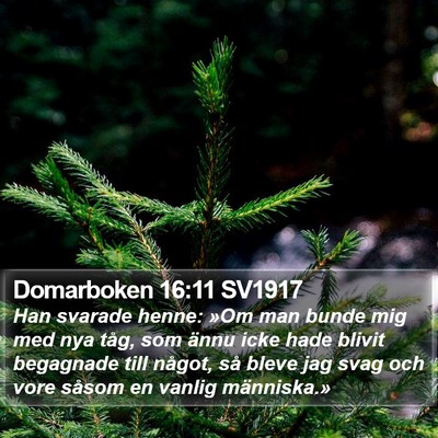 Domarboken 16:11 SV1917 Bible Verse Image