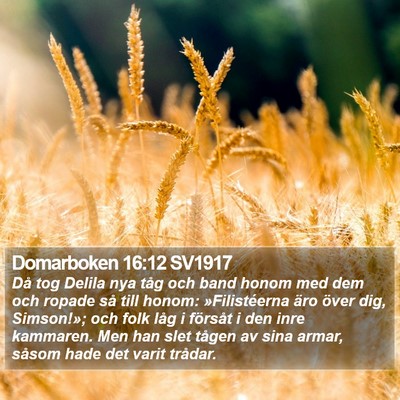 Domarboken 16:12 SV1917 Bible Verse Image