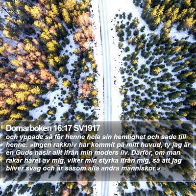 Domarboken 16:17 SV1917 Bible Verse Image