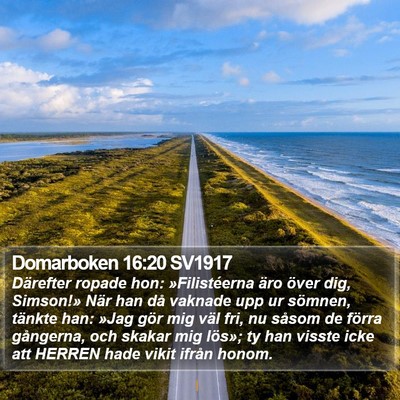 Domarboken 16:20 SV1917 Bible Verse Image
