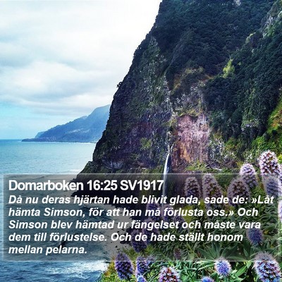 Domarboken 16:25 SV1917 Bible Verse Image