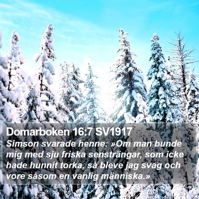 Domarboken 16:7 SV1917 Bible Verse Image
