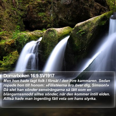 Domarboken 16:9 SV1917 Bible Verse Image