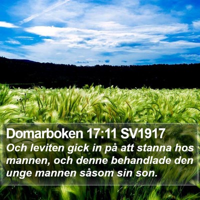 Domarboken 17:11 SV1917 Bible Verse Image