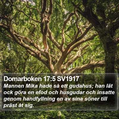 Domarboken 17:5 SV1917 Bible Verse Image