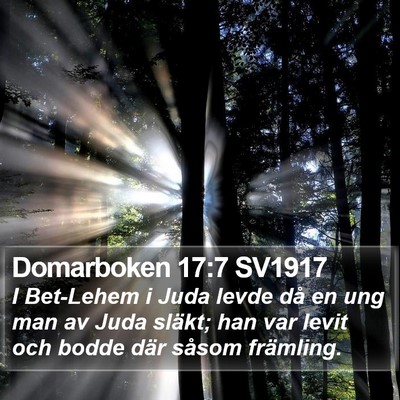 Domarboken 17:7 SV1917 Bible Verse Image