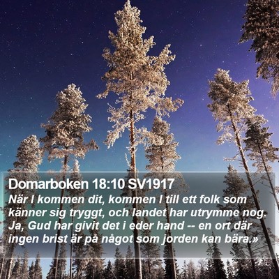 Domarboken 18:10 SV1917 Bible Verse Image
