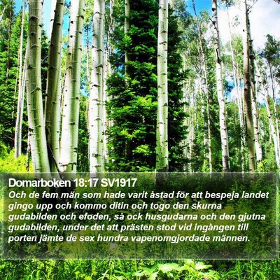 Domarboken 18:17 SV1917 Bible Verse Image