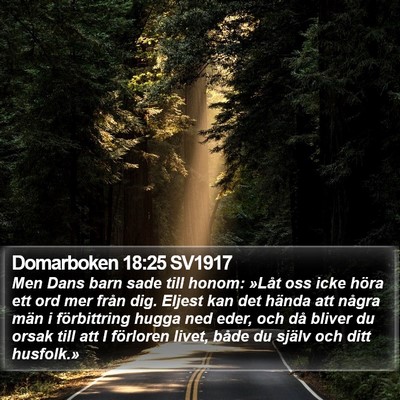 Domarboken 18:25 SV1917 Bible Verse Image