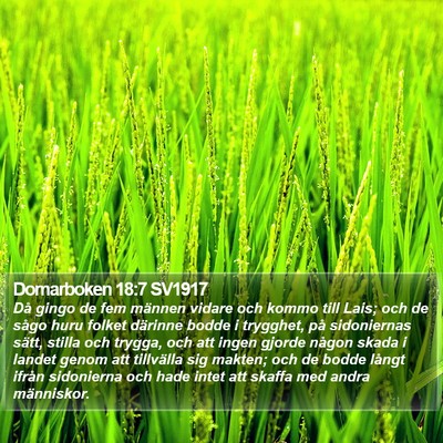 Domarboken 18:7 SV1917 Bible Verse Image