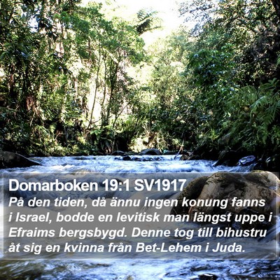 Domarboken 19:1 SV1917 Bible Verse Image