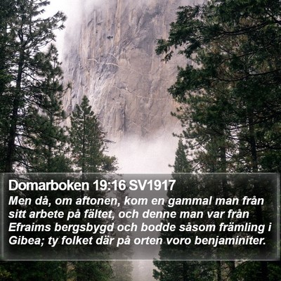 Domarboken 19:16 SV1917 Bible Verse Image