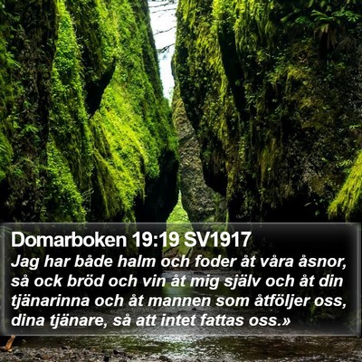Domarboken 19:19 SV1917 Bible Verse Image